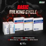 Basic Bulking Cycle Ultima Pharmaceuticals
