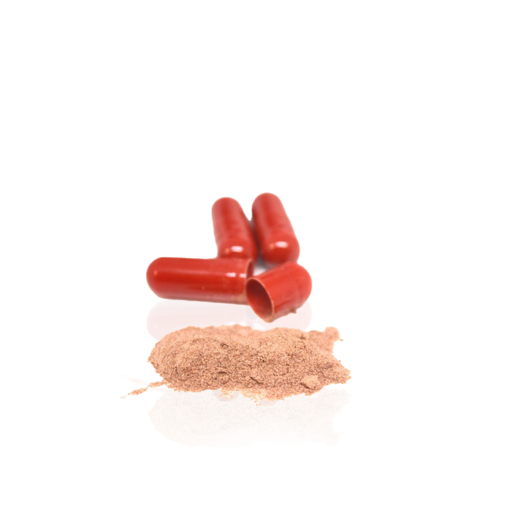 Tribuls 250 mg Elbrus Pharmaceuticals - Image 4