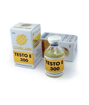 Testo E 300 Core Labs